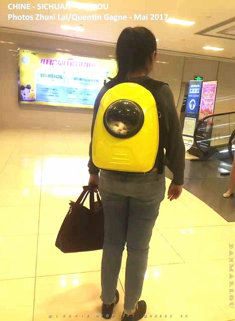 Luzhou 058.JPG